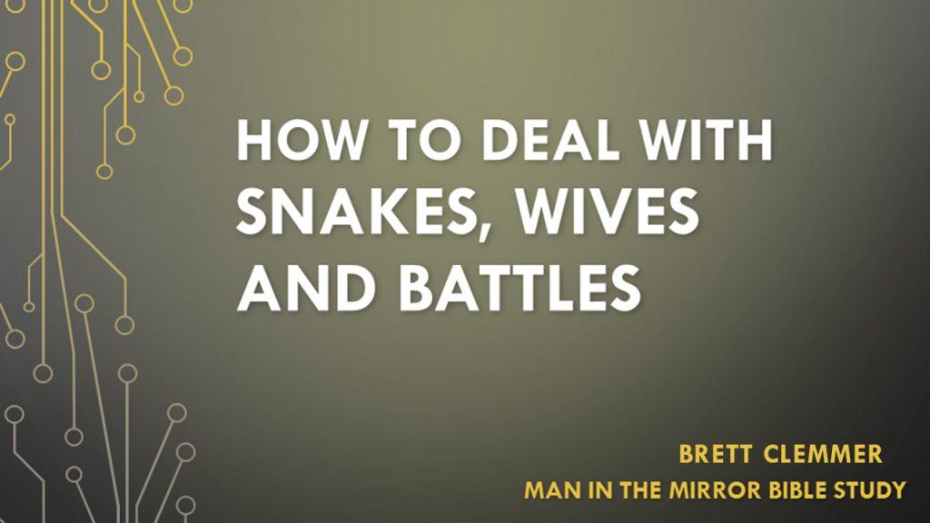 How to Deal with Snakes, Wives and Battles