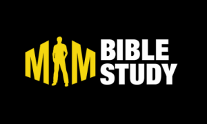 men's Bible studies - Man in the Mirror Bible Study logo