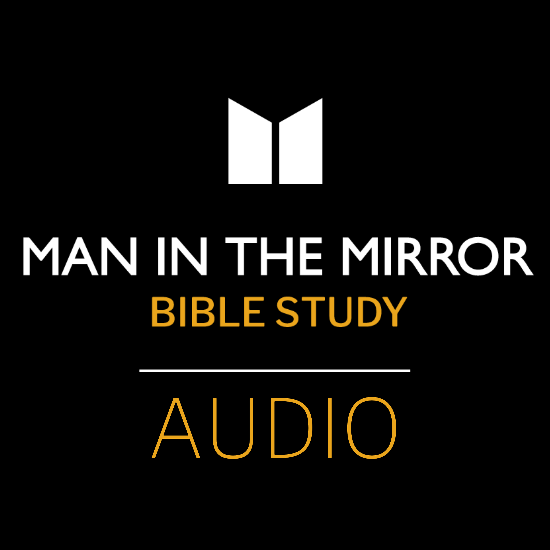 Man in the Mirror Bible Study